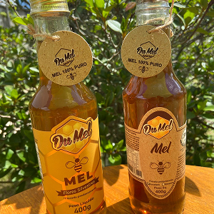 Duas garrafas de mel de 400g