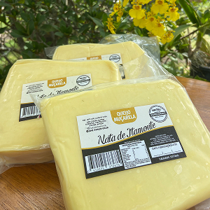 Queijo Minas